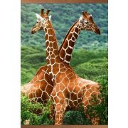 Гибкий настенный инфракрасный пленочный обогреватель «Жирафы»