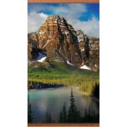 Гибкий настенный инфракрасный пленочный обогреватель «Гора»